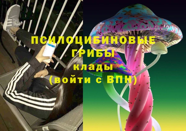 круглые Арсеньев