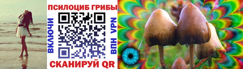 Псилоцибиновые грибы мицелий  Шелехов 