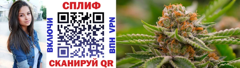 Канабис Bruce Banner  где продают наркотики  блэк спрут рабочий сайт  Шелехов 